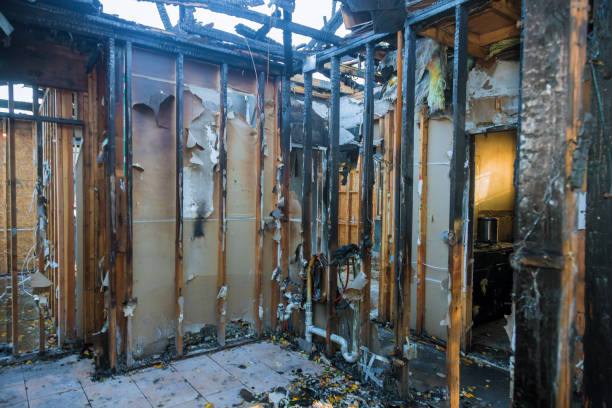 Professional Fire Damage Repair technician working in Clinton, WA