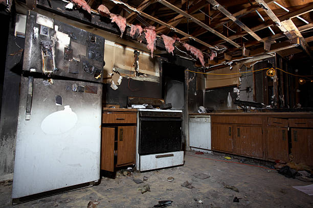 Licensed Fire Damage Repair service in Clinton, WA - Fire Damage Flint